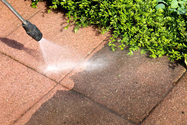 Best Sidewalk Pressure Washing  in Parchment, MI